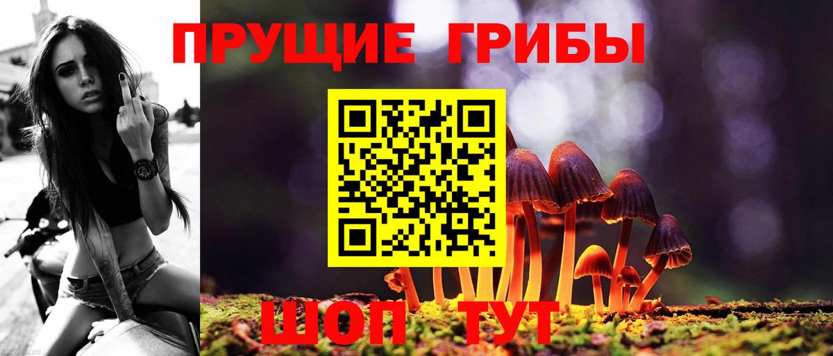 Псилоцибиновые грибы мицелий Тихорецк